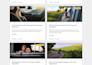 do website development, wordpress blog design as wordpress website developer